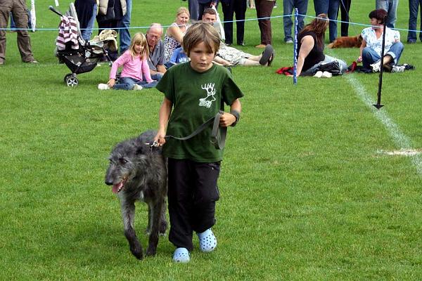 dogshow 4.jpg